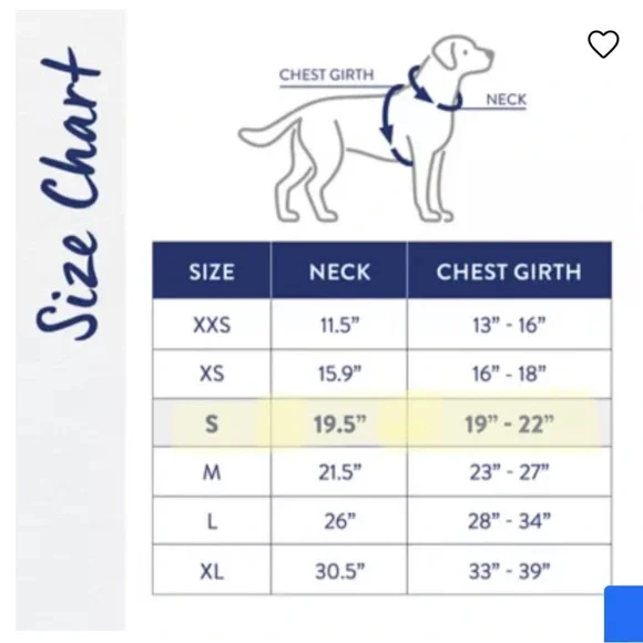 Dog Harness Neoprene - Picture 7 of 7